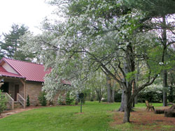 Tennessee Wedding Site